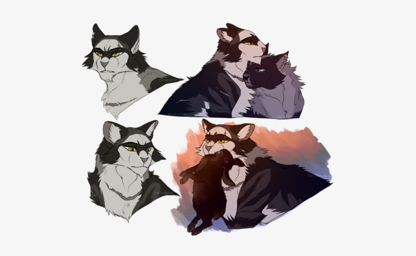 Some Badgerthroat Sketches - Sketch, transparent png download
