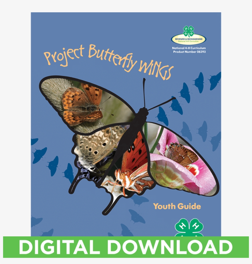 Butterfly Wings Curriculum Youth Guide Digital Download - Brush-footed Butterfly, transparent png download