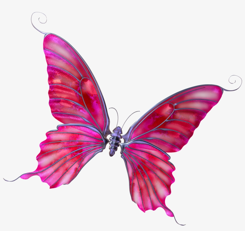 Free To Be Me Journal: Succeed: Level 3, transparent png download