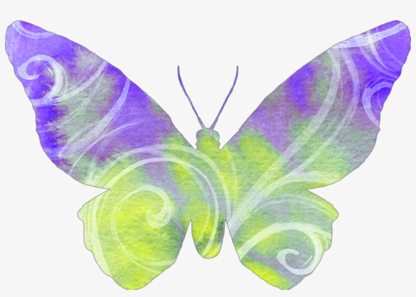 Report Abuse, transparent png download