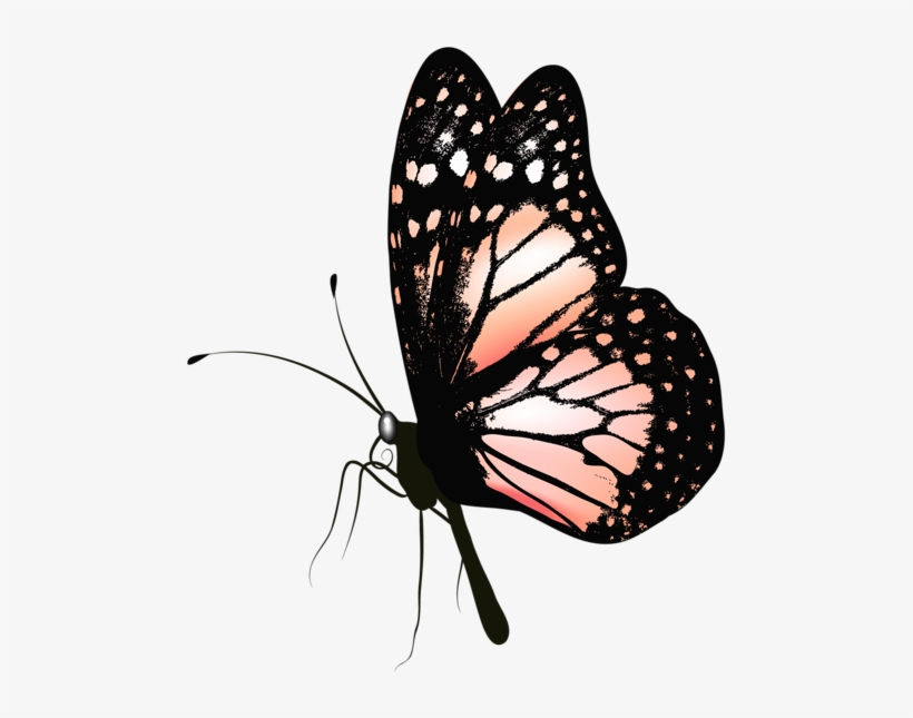 Visit - Freeforme Monarch Butterfly Watch, Butterfly Gift,, transparent png download