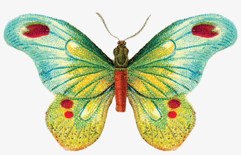 Butterfly 1 - Tattly Temporary Tattoos, Butterfly 1, 5ml, transparent png download