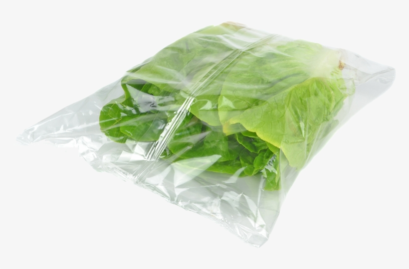 A Proven Supplier Meeting All Levels Of Need - Modified Atmosphere Packaging Of Lettuce, transparent png download