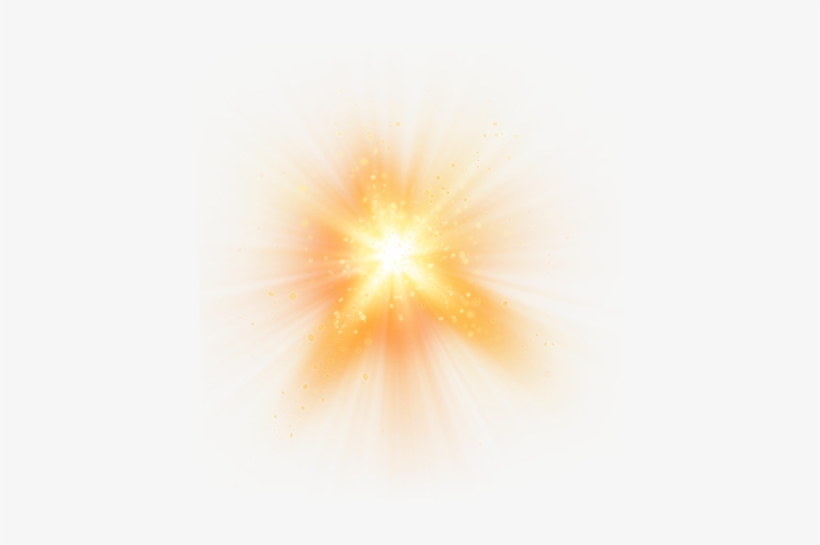 Macro Photography, transparent png download