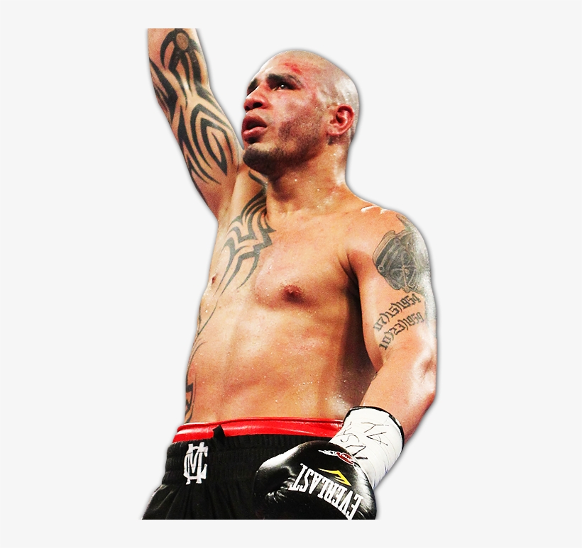 Miguel Cotto Wins - Miguel Cotto Png Transparent PNG - 432x693 - Free