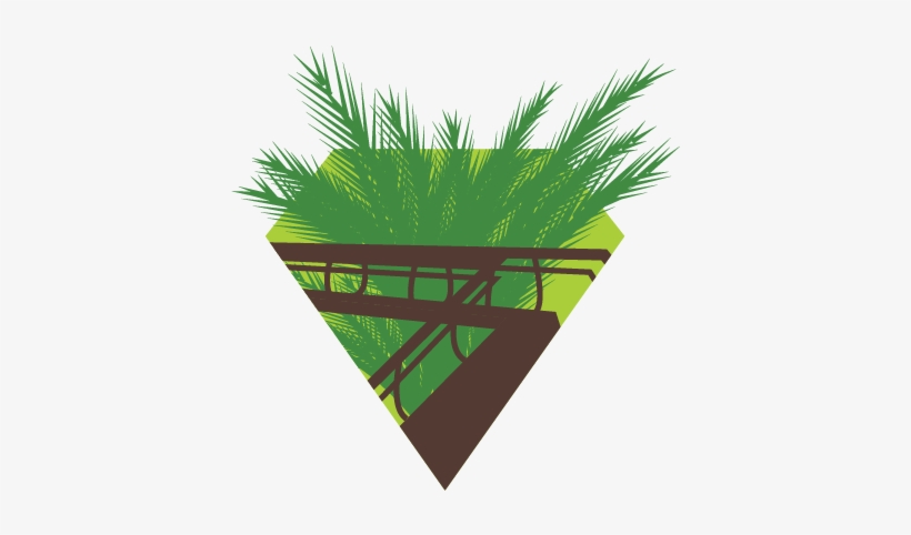 The Greenhouse Is Divided In Three Climate Zones, Representing - Sabal Palmetto, transparent png download