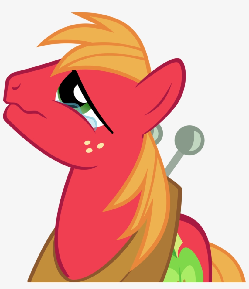 15 Tears Vector Animal For Free Download On Mbtskoudsalg - Mlp Big Mac Sad, transparent png download