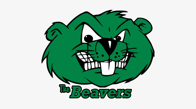 Beaver Clip Art, transparent png download