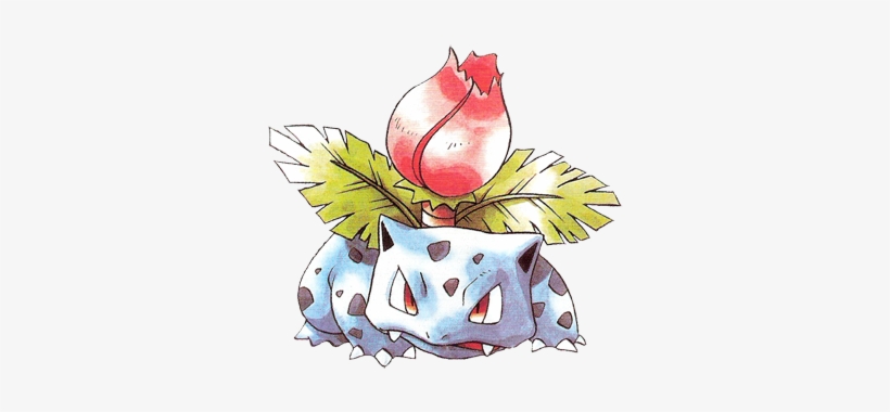 • Pokemon Nintendo Venusaur Bulbasaur Ken Sugimori - Pokemon Ivysaur, transparent png download