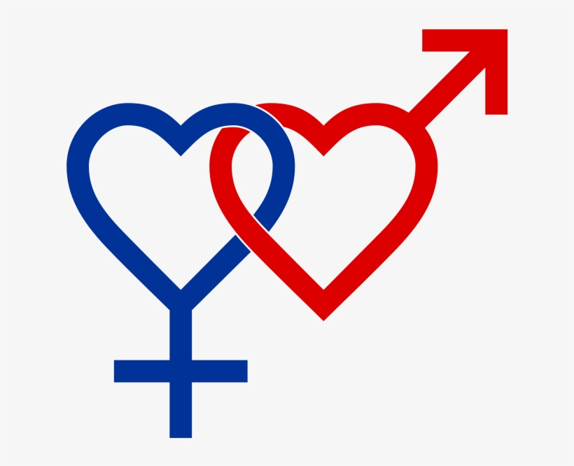 Heterosexual Symbol Two Hearts Blue Red - Heterosexualidad Definicion, transparent png download