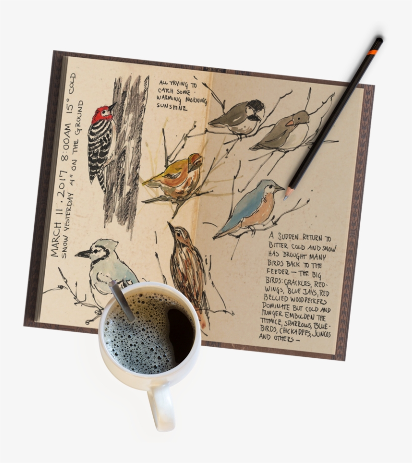 Nature Journal Basics Three Easy Steps To Get You Started - Nature, transparent png download