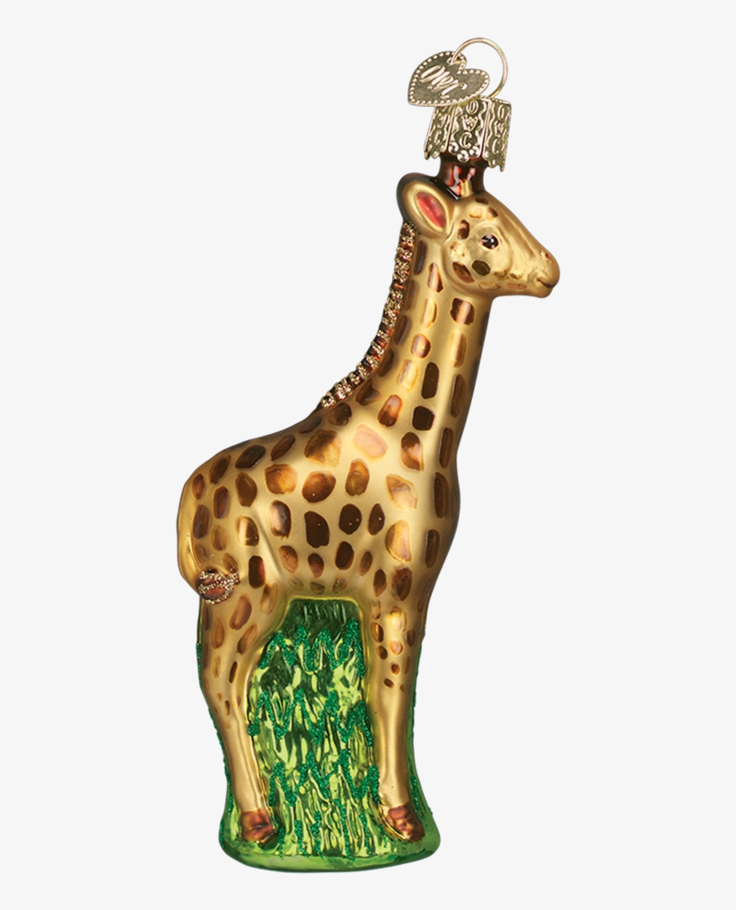 Old World Christmas Baby Giraffe Glass Ornament, transparent png download