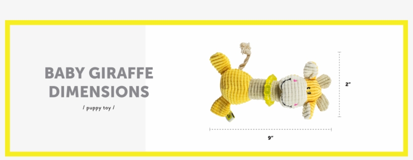 Dimensions Baby Giraffe For Dogs English - University Of Texas Rio Grande Valley, transparent png download