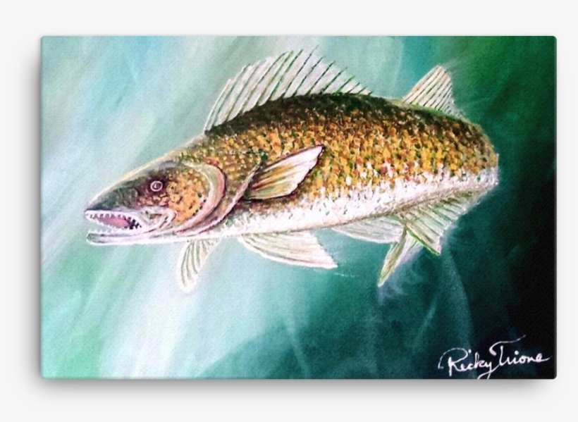 Walleye Pike By Ricky Trione - Art, transparent png download