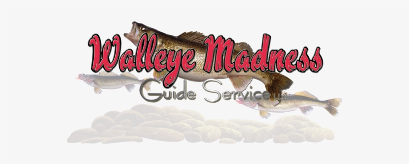 Walleye Madness Guide Service, Green Bay Walleye Guide, - Calligraphy, transparent png download