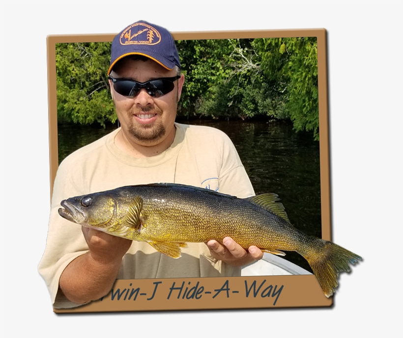Mattagami Lake & Minisinakwa River Walleye Fishing - Walleye Fishing, transparent png download