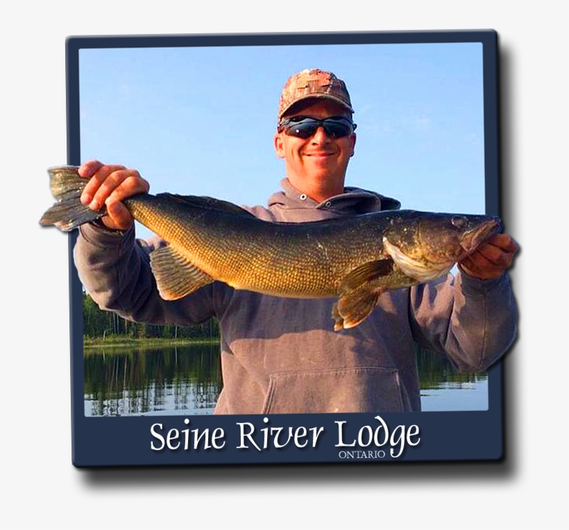 When Fishing For Walleye On Our System, You Need To - Jigging, transparent png download