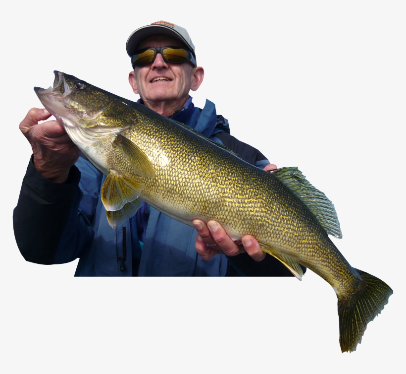 Rainy Lake Trophy Walleye Fishing - Campfire Island, transparent png download