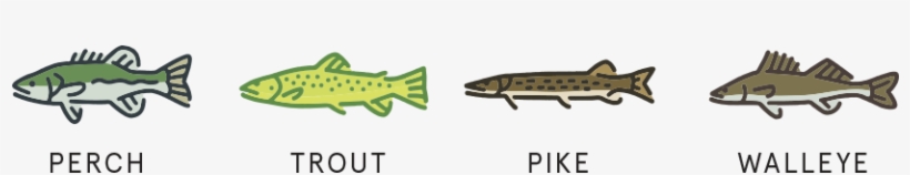 The Big Catch - Trout, transparent png download
