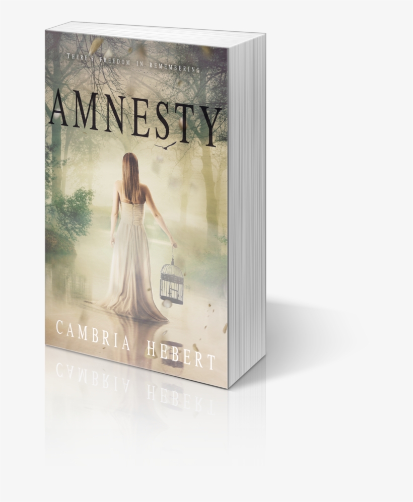 A M N E S I A - Amnesty [book], transparent png download
