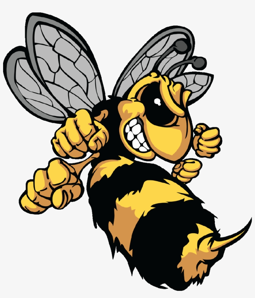 The Angry Hive - Hornet Cartoon, transparent png download