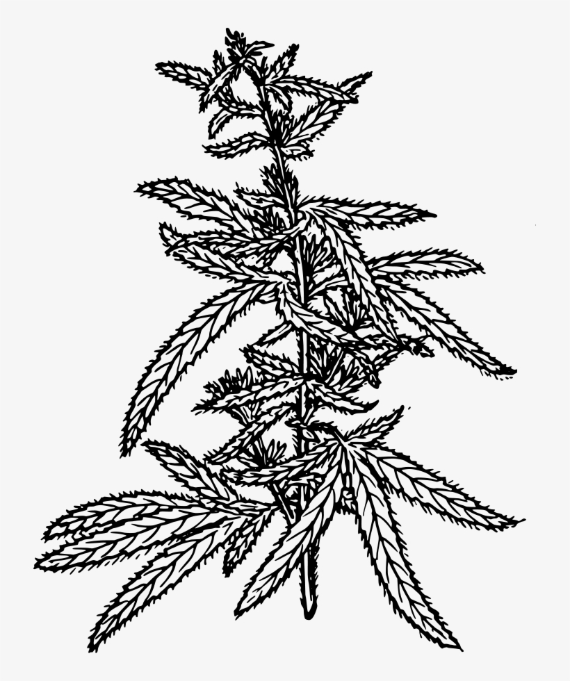 How To Set Use Hemp Clipart, transparent png download