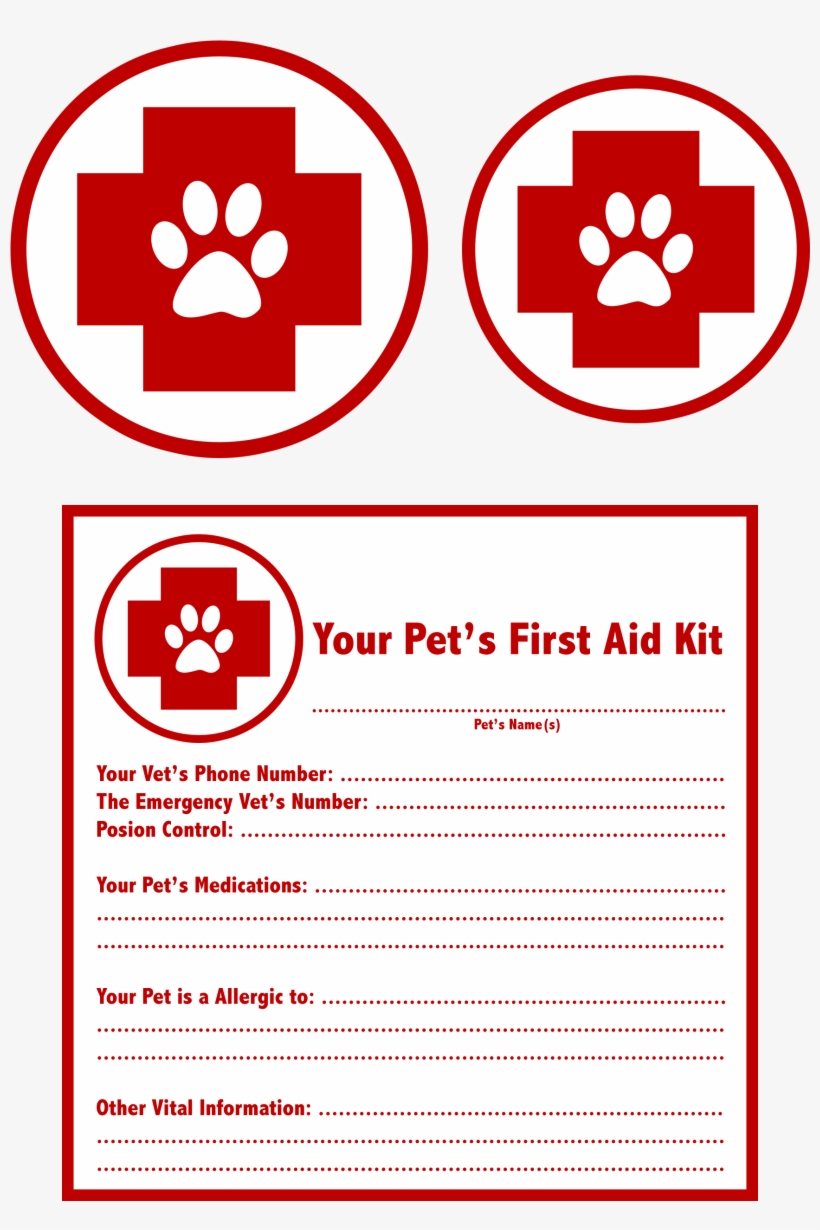 Firstaidprintable - Circle, transparent png download