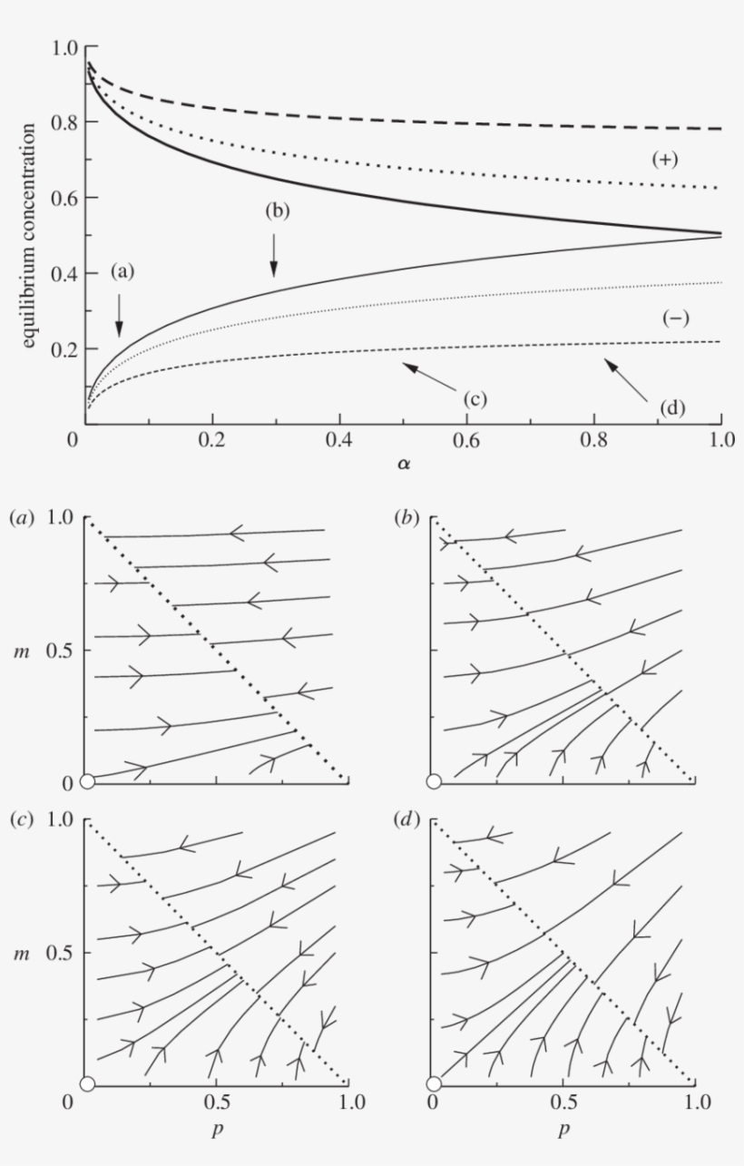 Same As In Figure 3 For The Simplified Model Given - Line, transparent png download