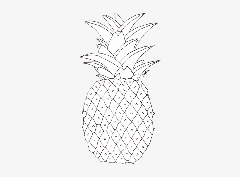 Pineapple Tumbl Pineapple Tumblr Transparent Zoefrances - Pineapple Pictures To Colour, transparent png download