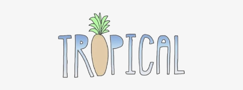 Transparent Pineapple - Tropical Stickers, transparent png download