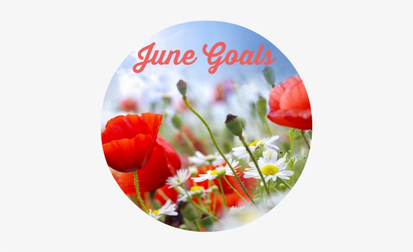Goals For June - Designart 'lovely Red Poppies On Sky Background' Photographic, transparent png download