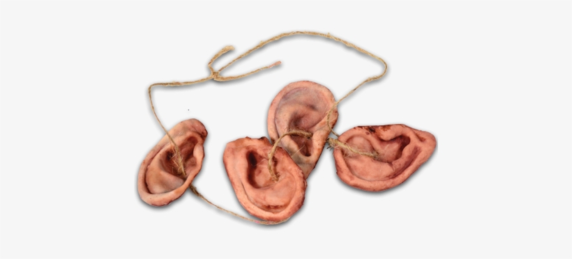 The Walking Dead - Walking Dead – Walker Ear Necklace, transparent png download