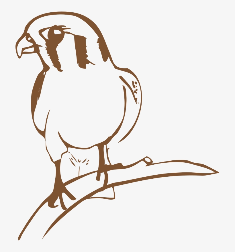 Brown Bird Shower Curtain, transparent png download