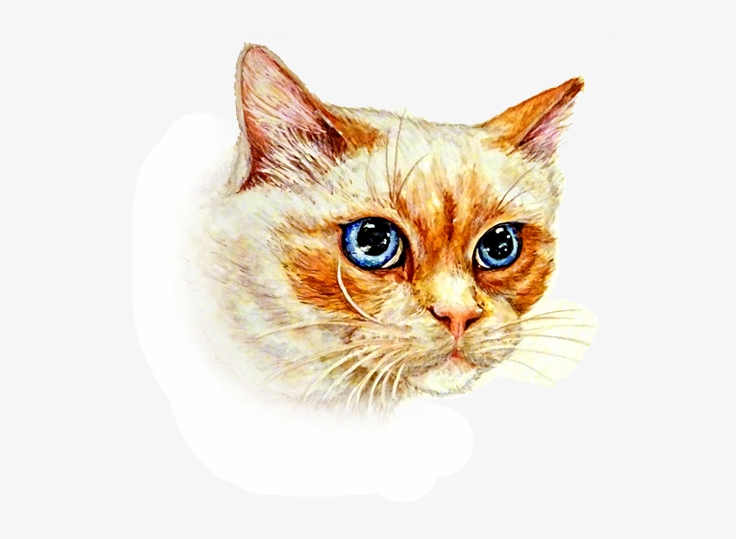 Pointed Cat Painting Portrait - Domestic Short-haired Cat, transparent png download