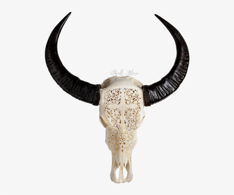 Carved Buffalo Skull - Decorative Skull Head Cow, transparent png download