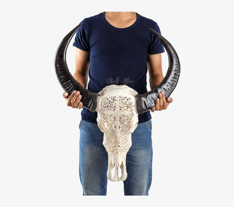 Carved Buffalo Skull - Christian Cross, transparent png download