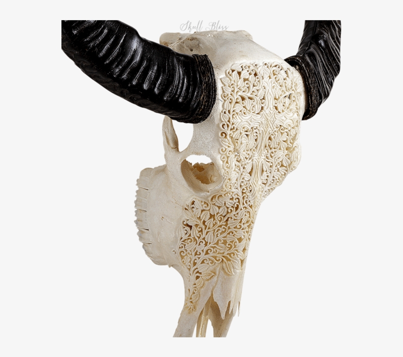 Carved Buffalo Skull - Skull, transparent png download