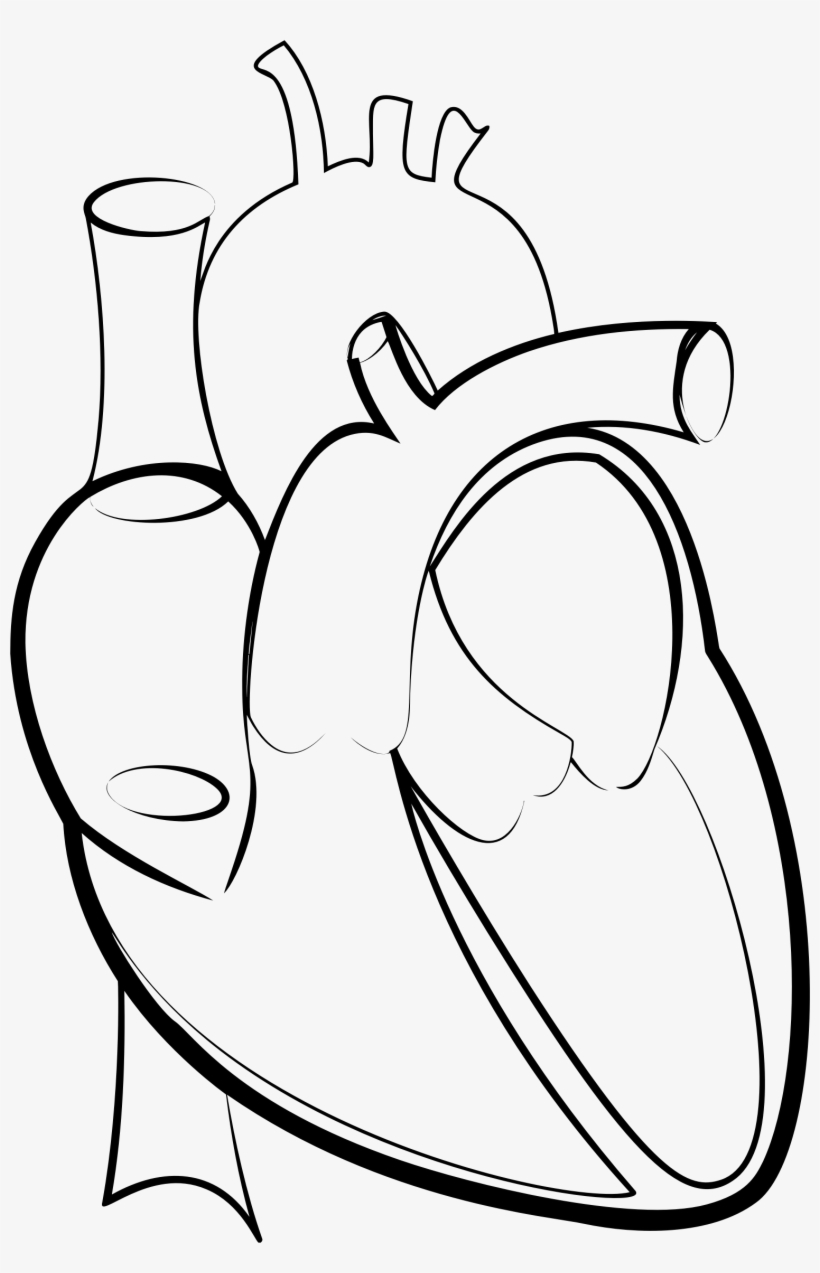 This Free Icons Png Design Of Heart Line Art, transparent png download
