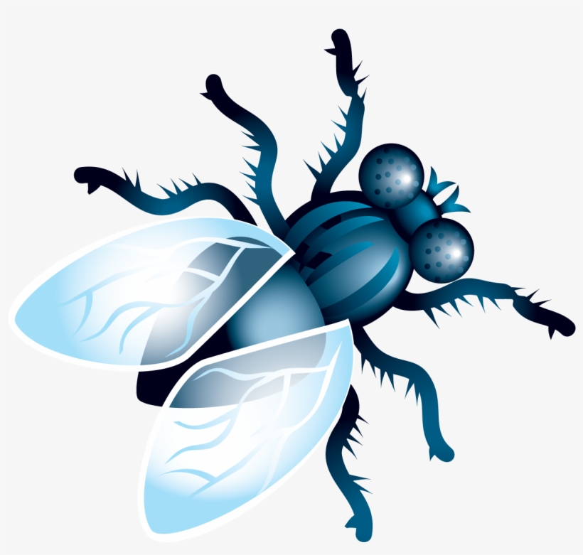 Fly Clipart Png, transparent png download