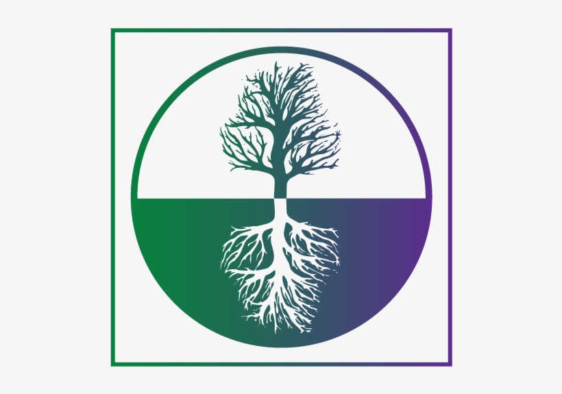 Landscaping & Gardening Landscaping - New Root, transparent png download