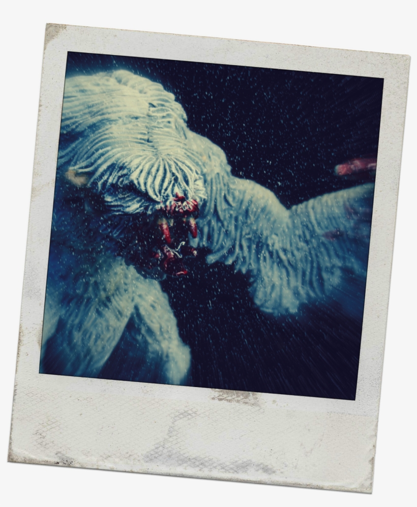 "for A Moment We Thought It Was The Howl Of The Biting - War, transparent png download