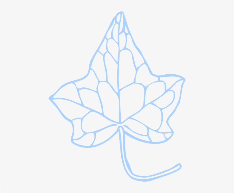 How To Set Use Ivy Leaf 2 Svg Vector Transparent Png 480x598 Free Download On Nicepng