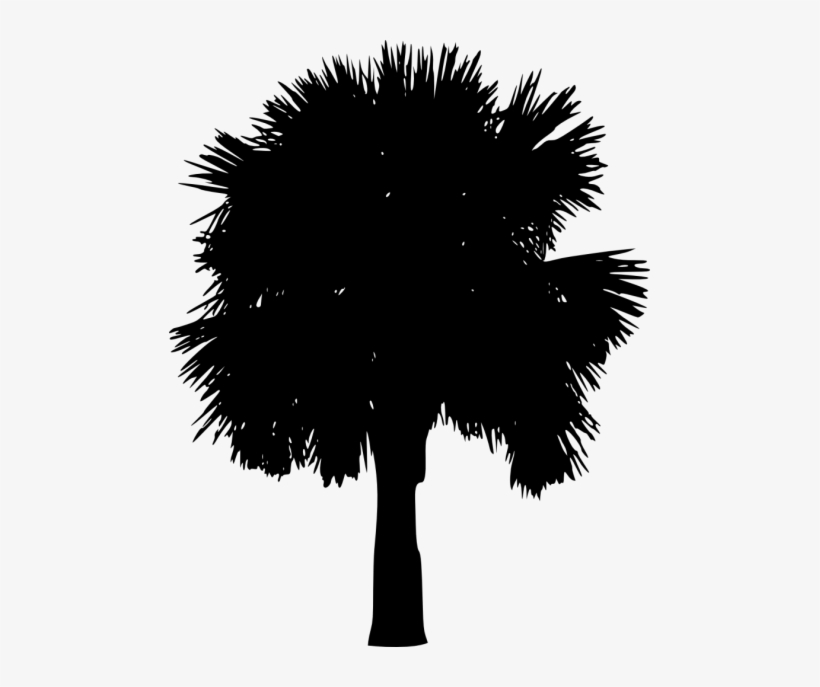 Free Png Palm Tree Silhouette Png Images Transparent - Portable Network Graphics, transparent png download