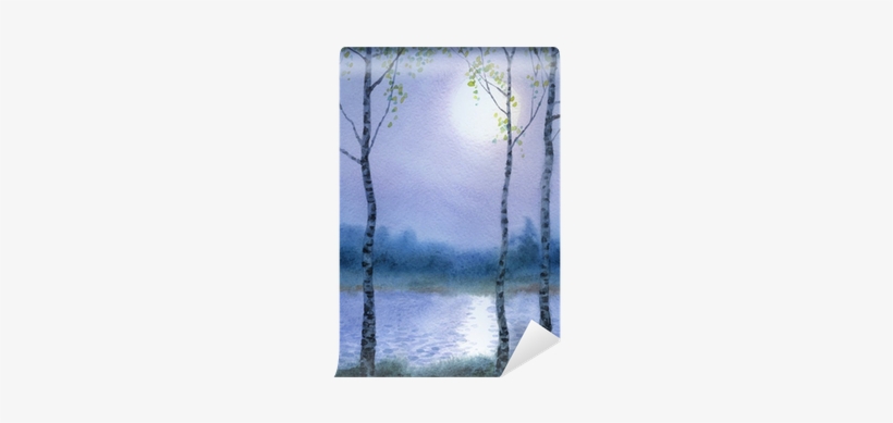 Spring Birch Trees Near The River Wall Mural • Pixers® - Birch, transparent png download