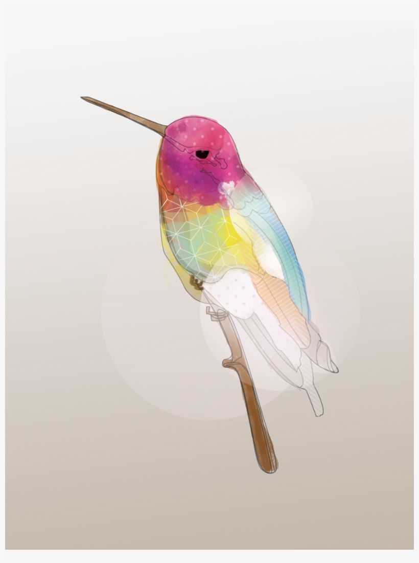 That Hummingbird Life - Illustration, transparent png download