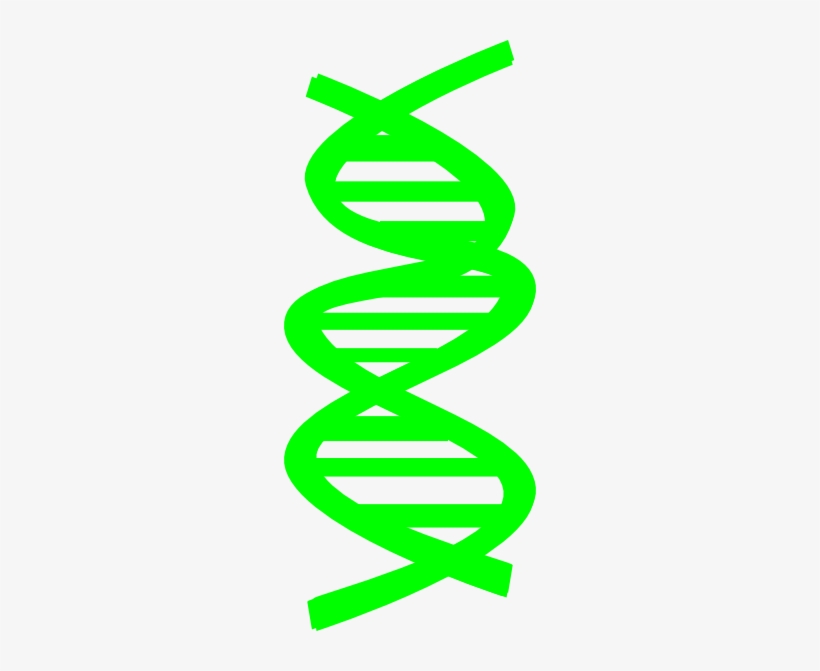Dna Clip Art At Clker - Dna Clip Art, transparent png download