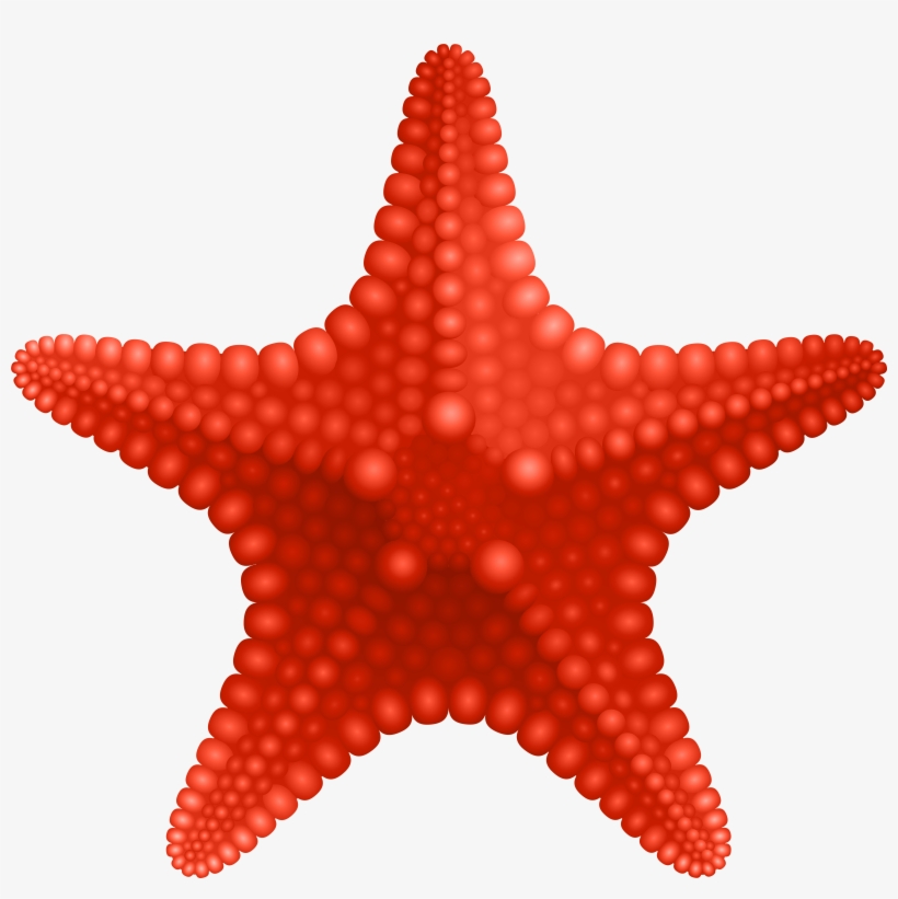 Starfish Png, transparent png download