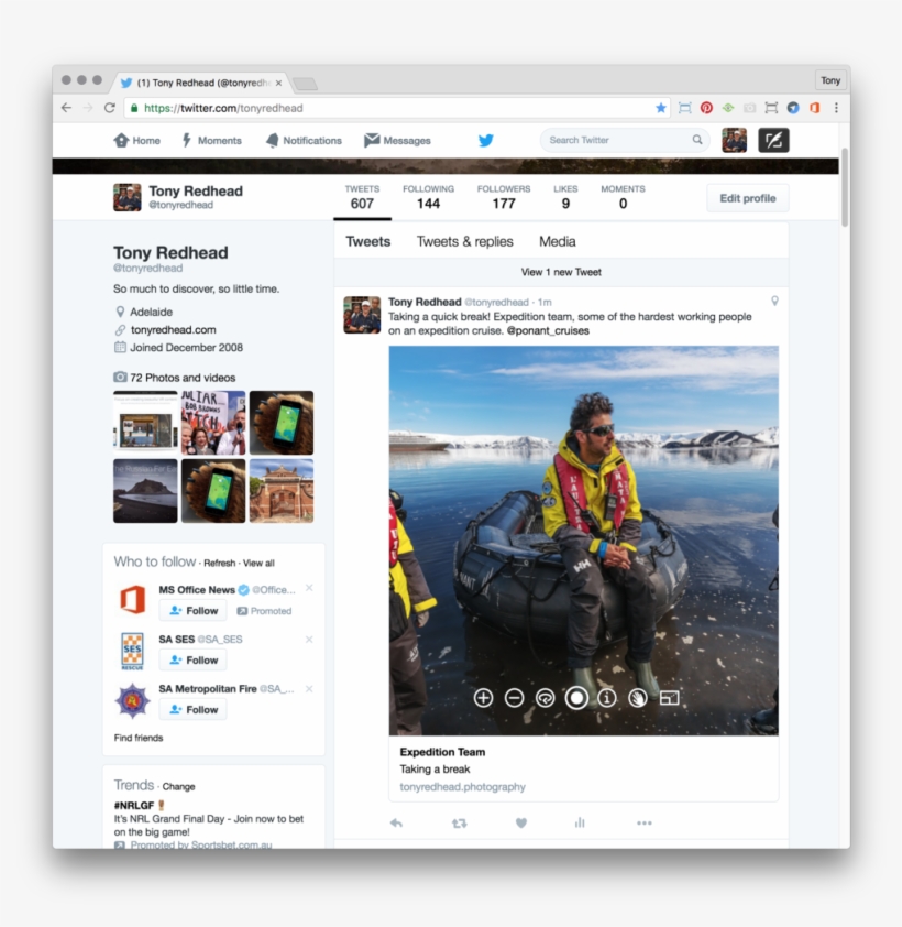 Twitter-pano - Twitter, transparent png download