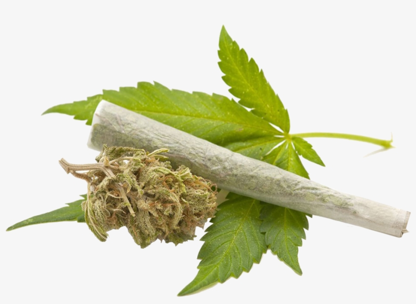Marijuana Leaf Transparent Background, transparent png download