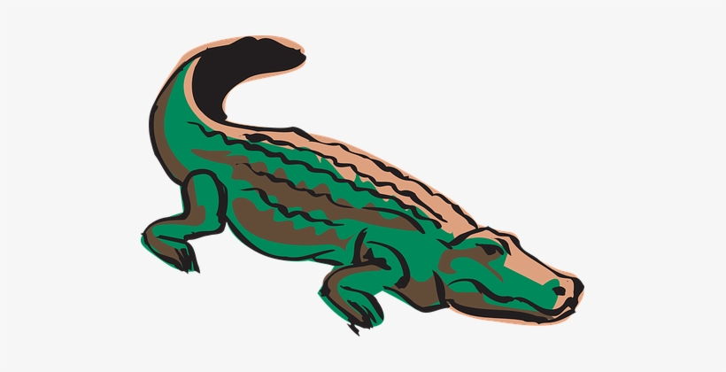 Crocodile Alligator Reptile Crocodilian An - Crocodilo Png, transparent png download